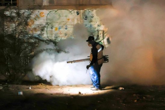 fumigacion dengue hmo