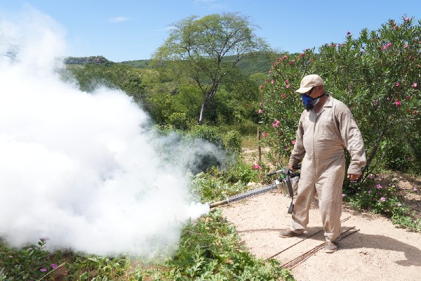 fumigacion dengue