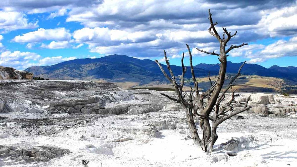 la soledad del planeta-min