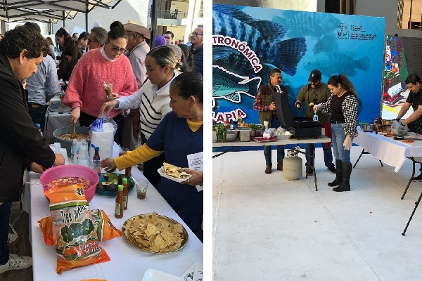 muestra gastronomica tilapia