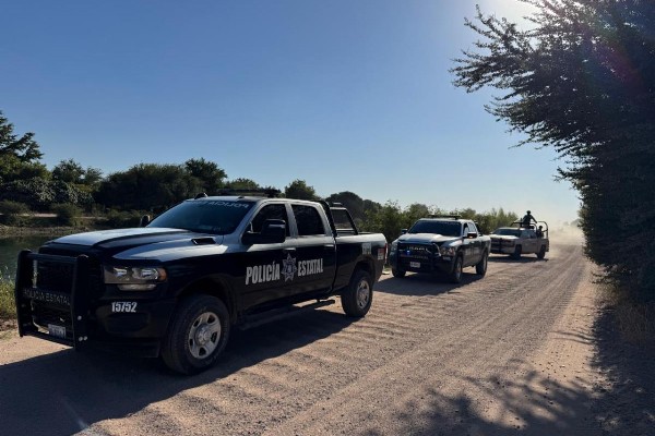 operativo conjunto cajeme