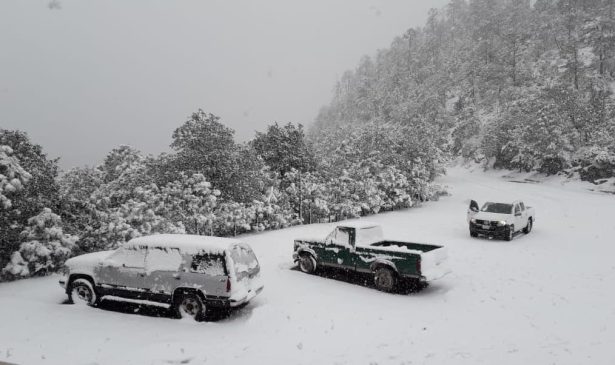 primera nevada en Durango-min