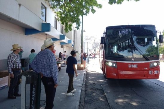 transporte urbano hmo