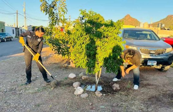 Colaboran familias de Guaymas en la generación de entornos seguros...-min