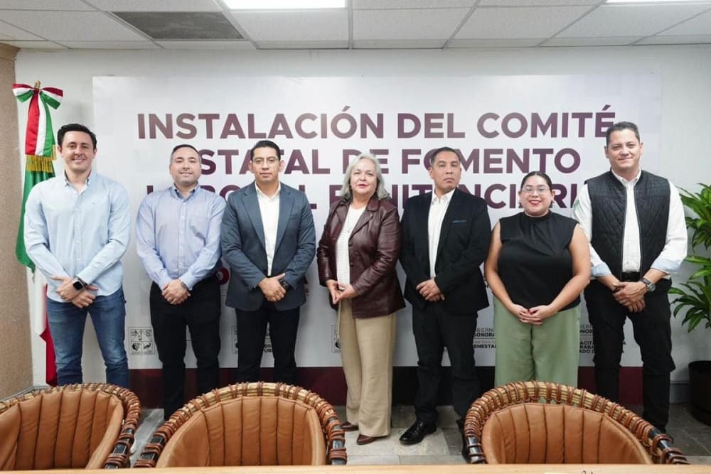 Comité Estatal de Fomento Laboral Penitenciario-min