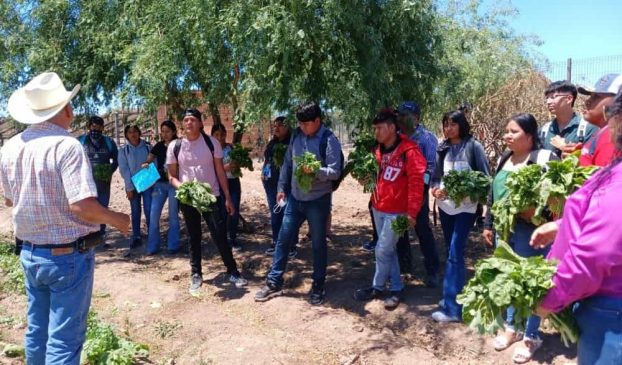 Fortalece Universidad del Pueblo Yaqui modelo productivo de soberanía alimentaria-min