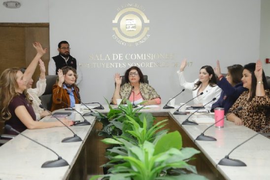 comision igualdad genero