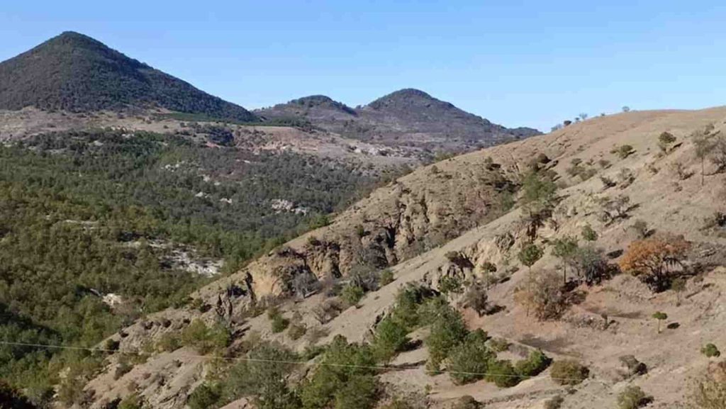 ejercito-bacterias-agricultura-min