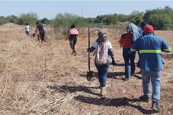 guerreras buscadoras
