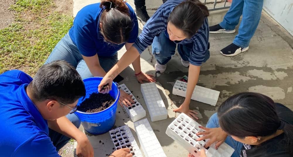 huerto escolar Creson-min