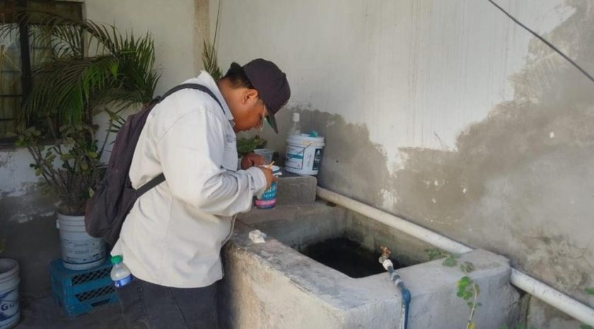 limpieza del mosco en casas-min