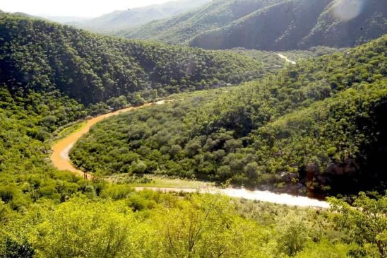 sheinbaum-insiste-a-grupo-mexico-cumplir-con-reparacion-de-dano-ambiental-min