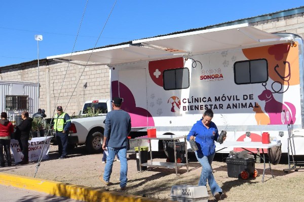 bienestar animal bavispe