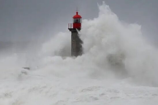 oleje oporto kristin