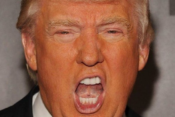 trump naranja