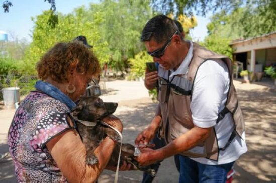 Acciones simples ayudan a prevenir rickettsiosis y dengue (1)