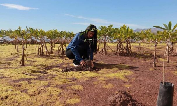 Día Mundial de los Humedales (1)
