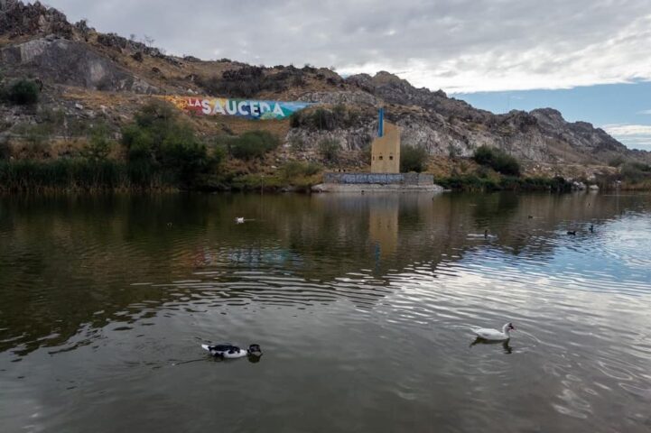 Humedales en el Bosque Urbano La Sauceda (1)
