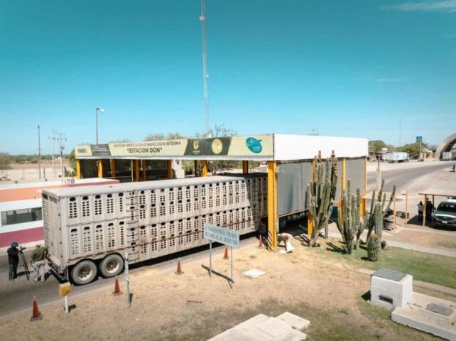 Nueva planta de mosca estéril en Texas refuerza blindaje sanitario en Sonora (1)