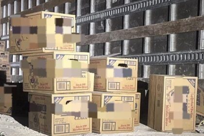 Frustran PESP y Mando Coordinado robo a vagón de tren en San Miguel