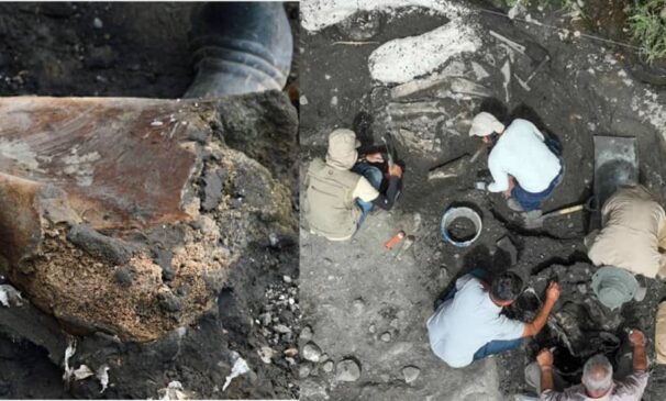 perezozo_y_mastodonte_gigante descubierto en Costa Rica (1)