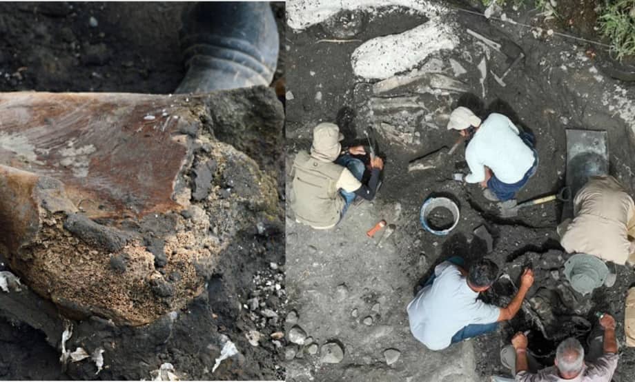 perezozo_y_mastodonte_gigante descubierto en Costa Rica (1)