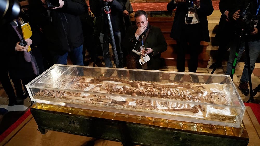 restos de san francisco de asis (1)