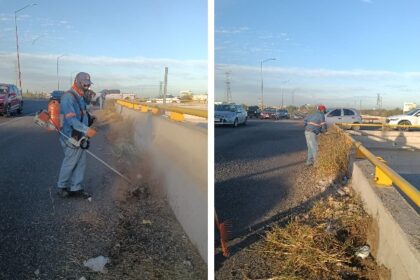 HERMOSILLO.  Limpia comuna 7.69 kilómetros en Blvd Paseo Río Sonora; recolecta 9.8 toneladas de basura y maleza