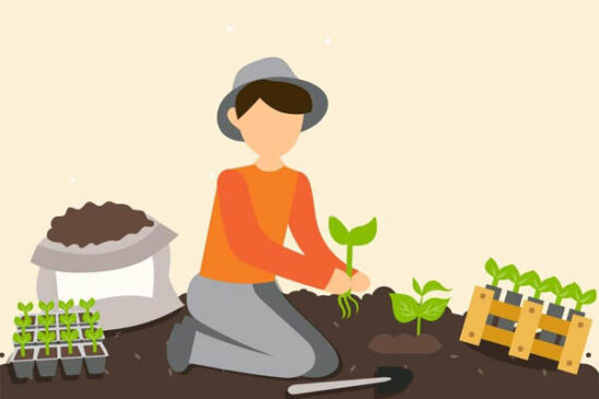 taller de germinación