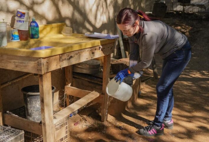 SSalud refueza campaña (1)