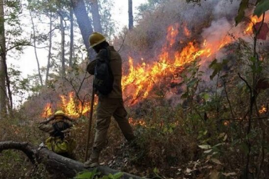 incendio forestal nayarit