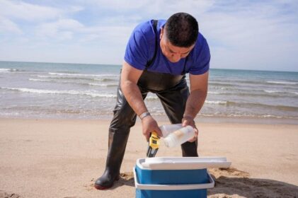 Playas de Sonora  aptas para uso recreativo: Coesprisson