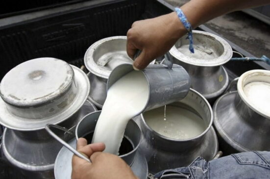 sector-lechero-recibe-mas-de-180-mil-mdp-de-inversion