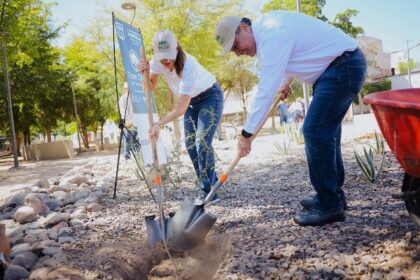 HERMOSILLO. Es reconocida la capital como Ciudad Árbol en el Mundo