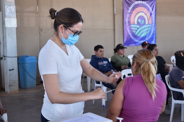 vacunacion campos agricolas