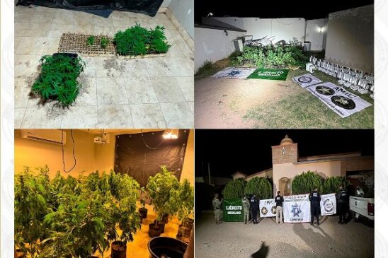 INVERNADERO MARIHUANA