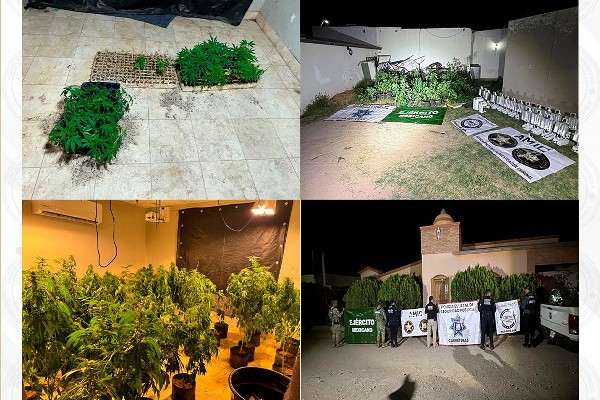 INVERNADERO MARIHUANA