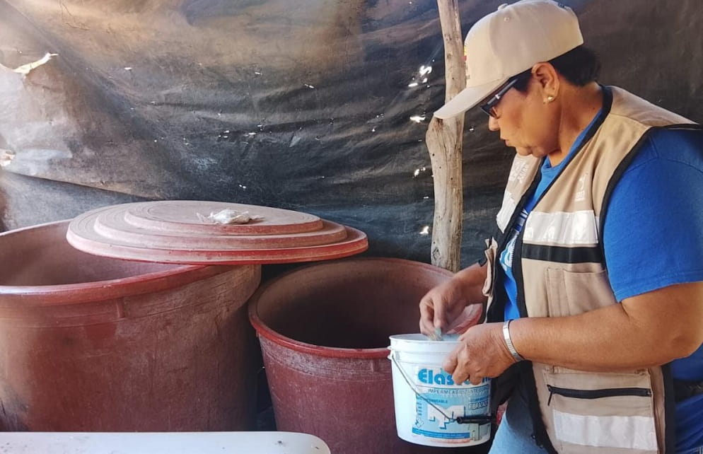 Refuerza Salud Sonora acciones preventivas y de control contra el dengue en todo el estado. (1)