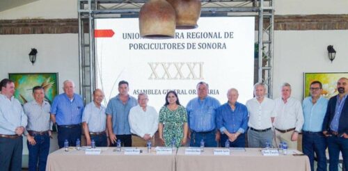 Se fortalece sanidad y competitividad del sector porcícola en beneficio de productores
