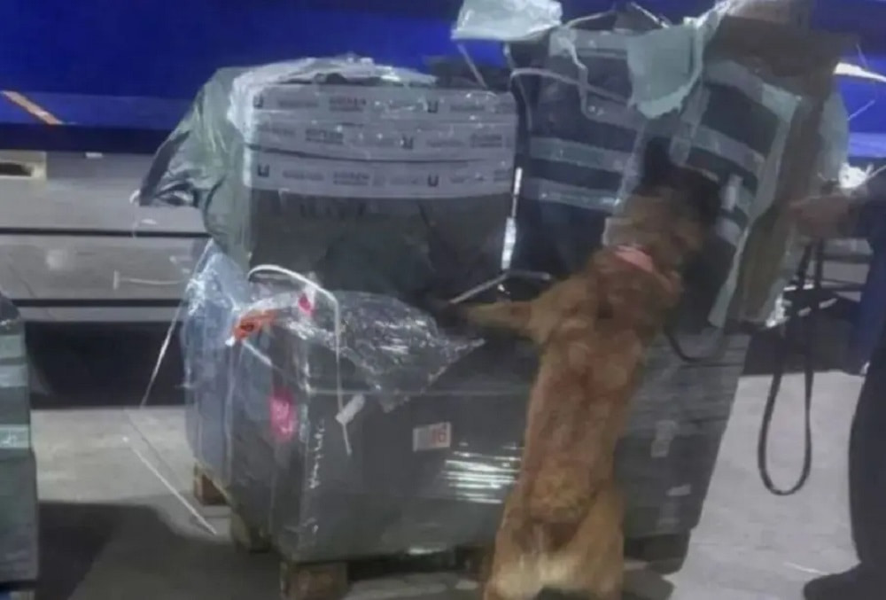 cigarros de contrabando en México (2)