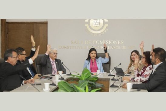 comision derechos niñez