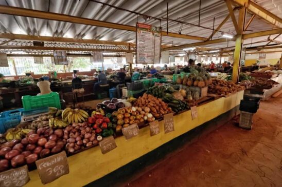 cuba-abre-el-comercio-de-productos-agricolas-al-sector-privado_