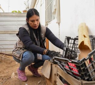 Promueve Salud Sonora estrategia “Casa Limpia” para prevenir enfermedades
