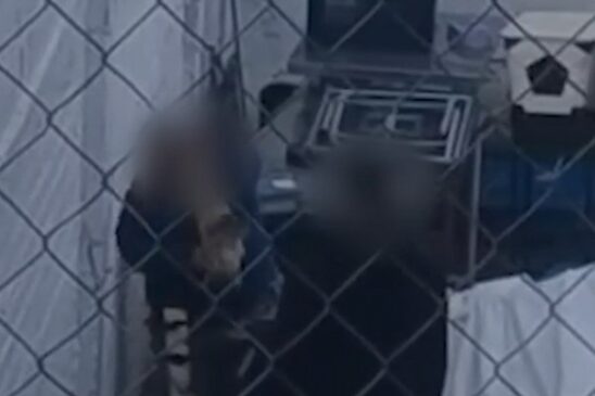 maltrato animal nogales