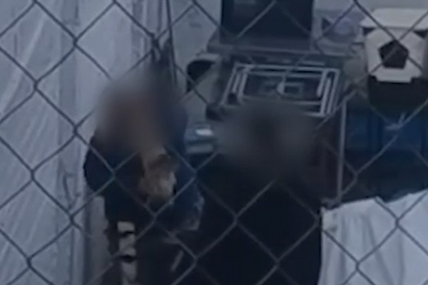 maltrato animal nogales