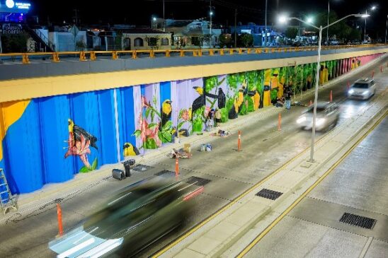 mural desnivel colosio soli