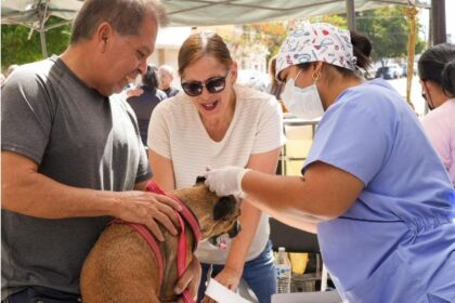Impulsa Gobierno de Sonora esterilización de mascotas con módulos de zoonosis