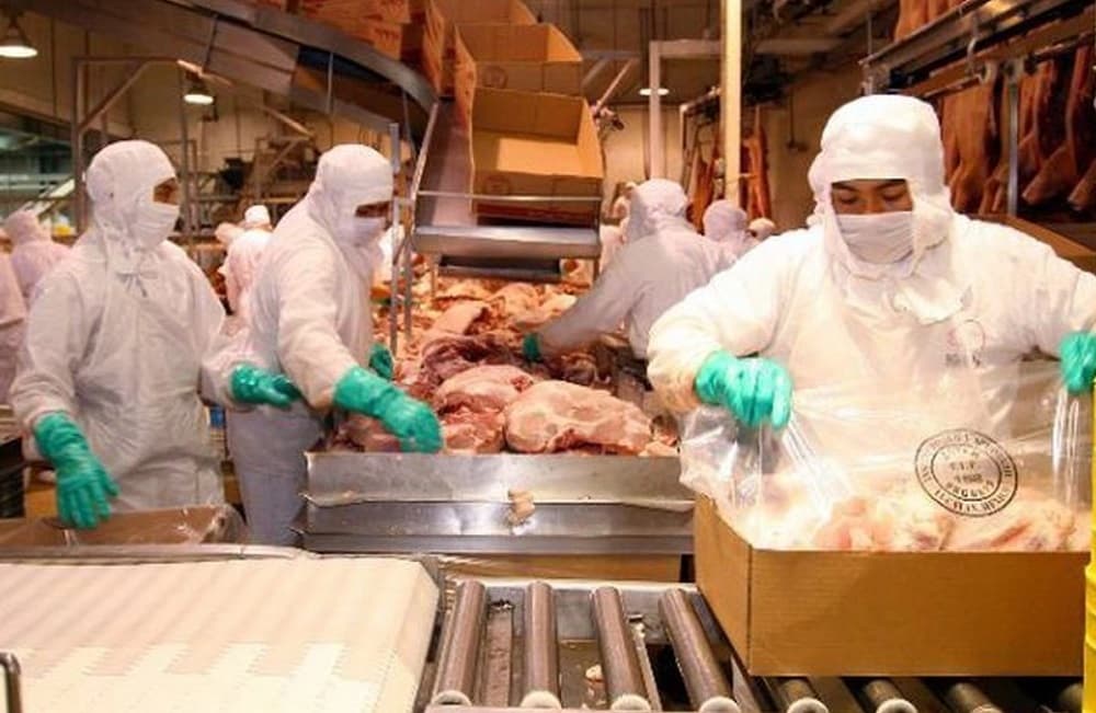 yucatan alcanza exportaciones record (1)