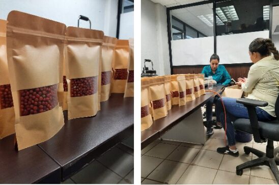 CHILTEPIN