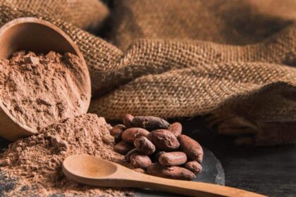 Cacao mexicano, el mejor ingrediente para el regalo de mamá